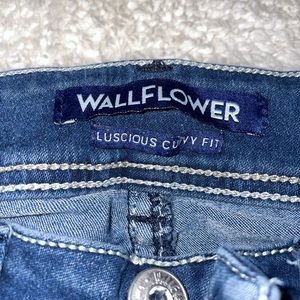 Wallflower bootcut/curvy fit jeans